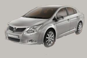 avensis